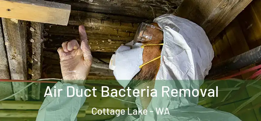 Air Duct Bacteria Removal Cottage Lake - WA