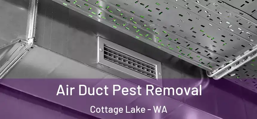  Air Duct Pest Removal Cottage Lake - WA