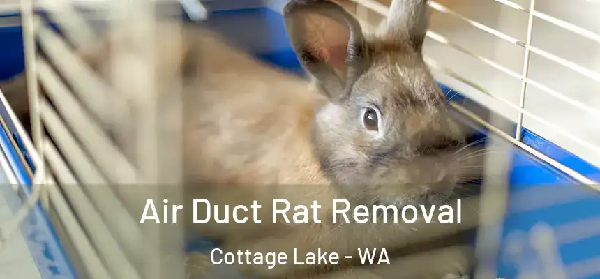  Air Duct Rat Removal Cottage Lake - WA
