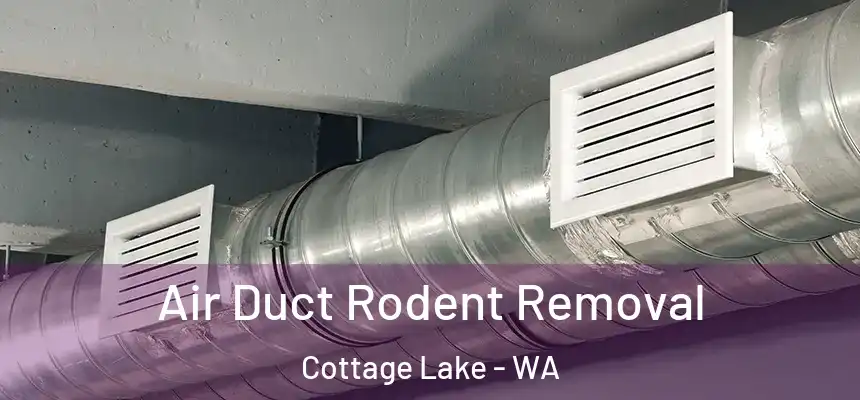  Air Duct Rodent Removal Cottage Lake - WA