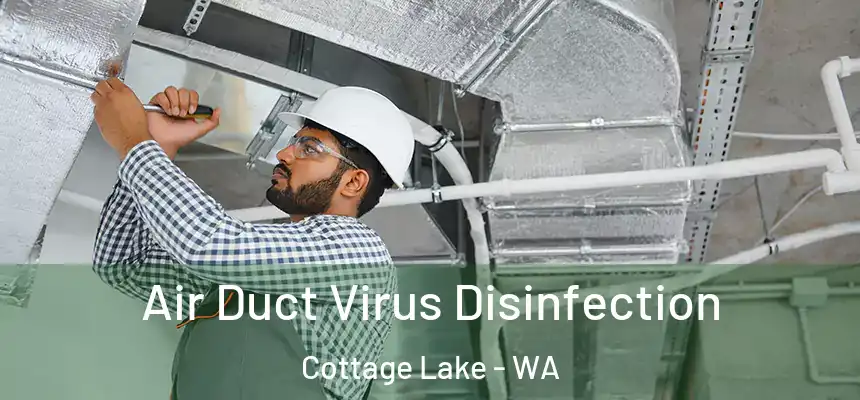  Air Duct Virus Disinfection Cottage Lake - WA