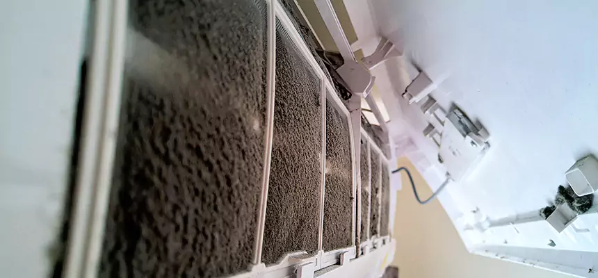 Preventive Air Duct Bacteria Removal in Cottage Lake