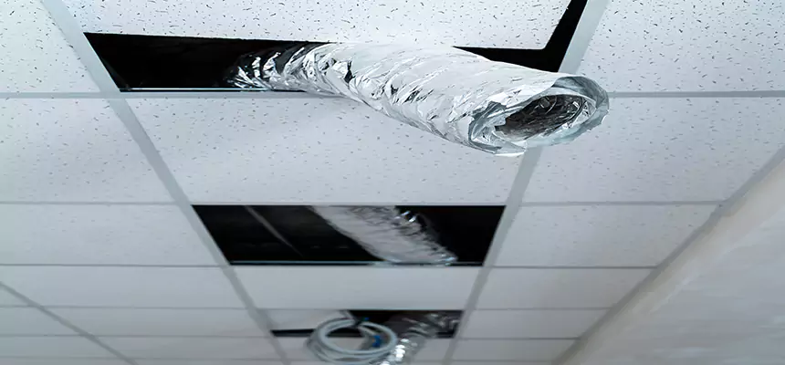 Affordable HVAC Sanitizing After Pest Removal in Cottage Lake