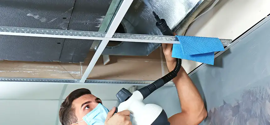 Our Air Duct Rodent Removal Services in Cottage Lake, WA