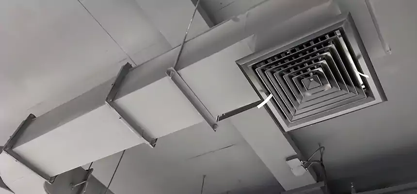 Restorative Allergy Relief Vent Cleaning – Coil, Blower & Housing Detail in Cottage Lake