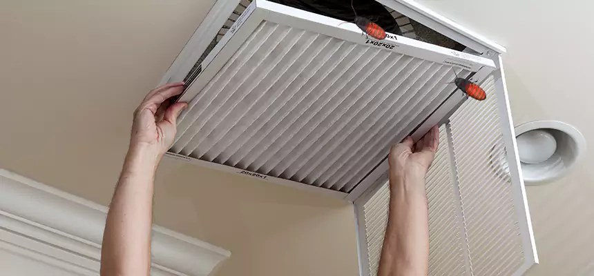 Our Insect Removal from Air Ducts Services in Cottage Lake, WA