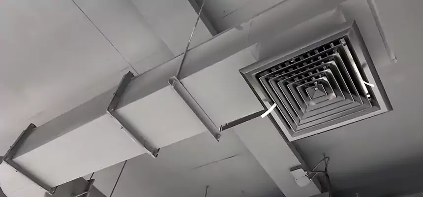 Our Pest Removal From Ducts Services in Cottage Lake, WA