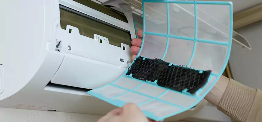 Gentle Ductwork Odor-Control Pet Dander Duct Cleaning in Cottage Lake, WA