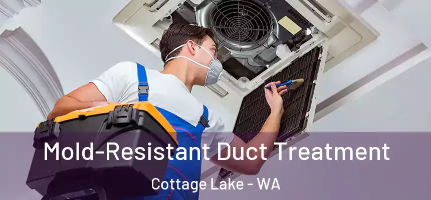  Mold-Resistant Duct Treatment Cottage Lake - WA