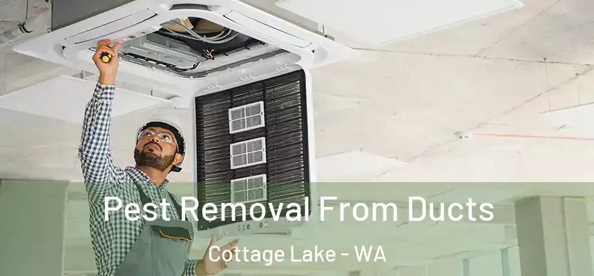  Pest Removal From Ducts Cottage Lake - WA