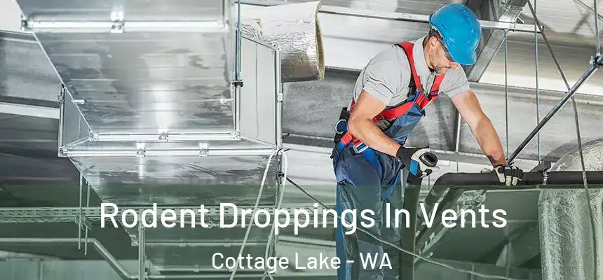  Rodent Droppings In Vents Cottage Lake - WA