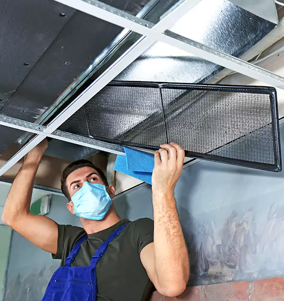 About Air Duct Bacteria Removal in Cottage Lake