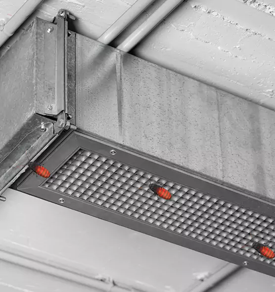 Affordable Insect Removal from Air Ducts in Cottage Lake, WA