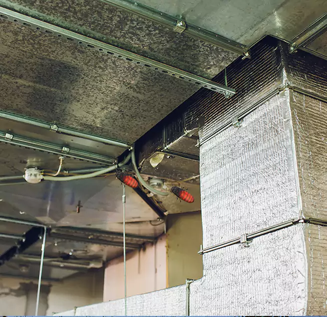 Why Homeowners & Businesses Trust Us in Cottage Lake, WA?