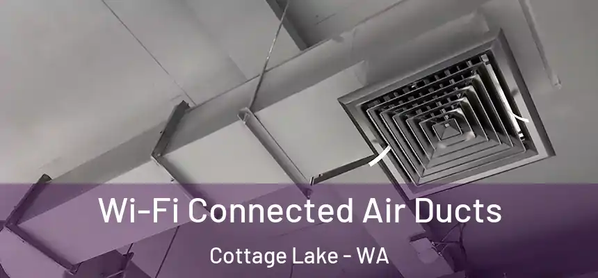  Wi-Fi Connected Air Ducts Cottage Lake - WA